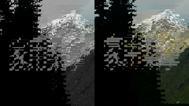 家用桑拿