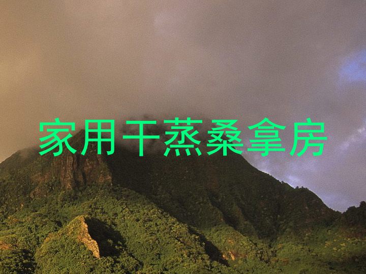家用干蒸桑拿房