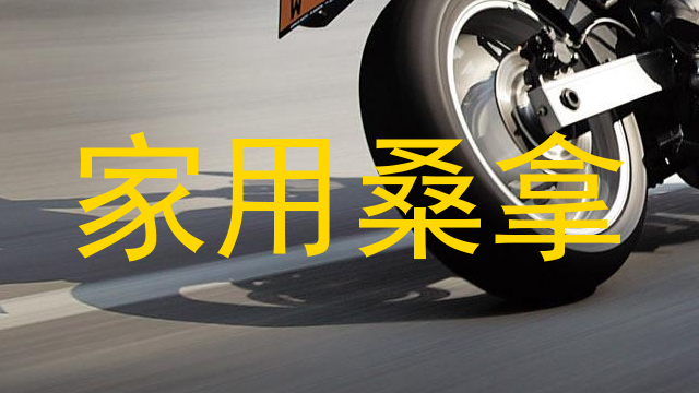 家用桑拿