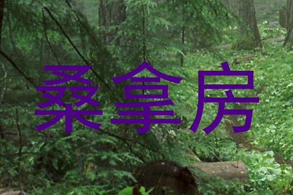 桑拿房