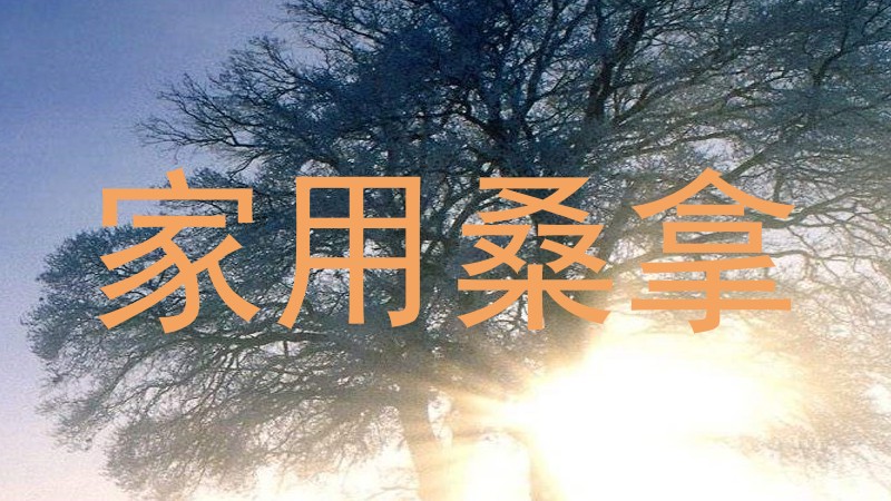 家用桑拿