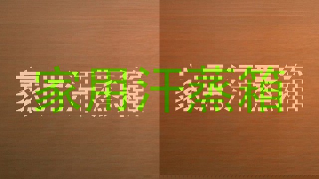 家用汗蒸箱