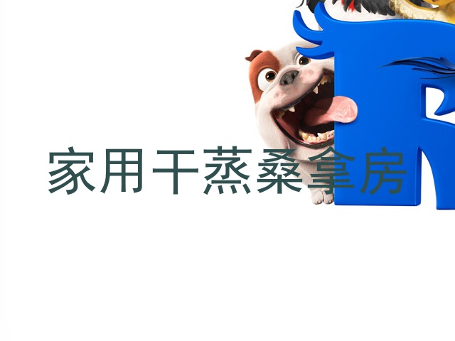 家用干蒸桑拿房
