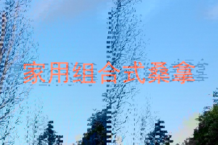 家用组合式桑拿