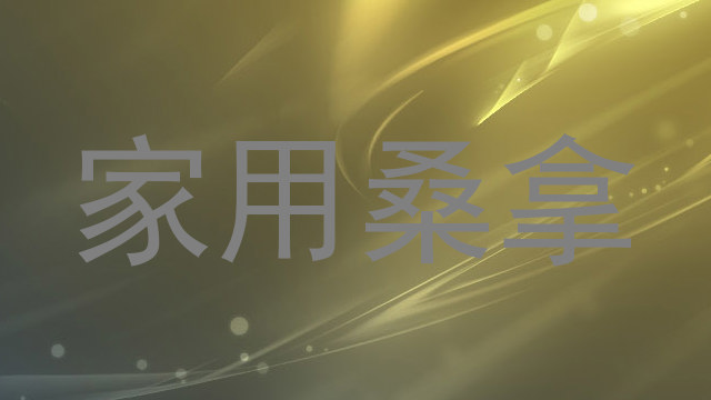 家用桑拿