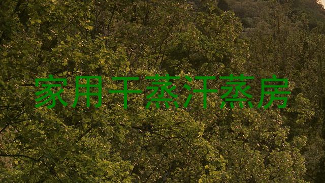 家用干蒸汗蒸房