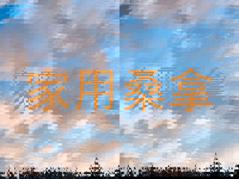 家用桑拿