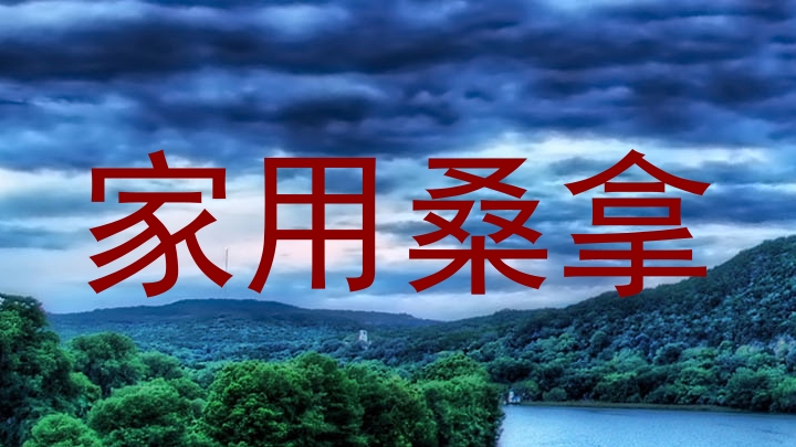 家用桑拿