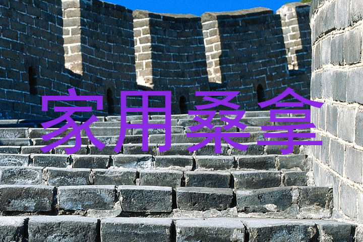 家用桑拿
