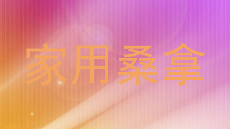 家用桑拿