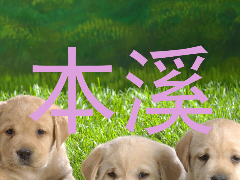 本溪