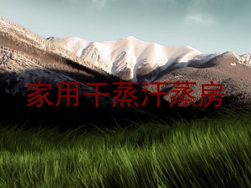 家用干蒸汗蒸房