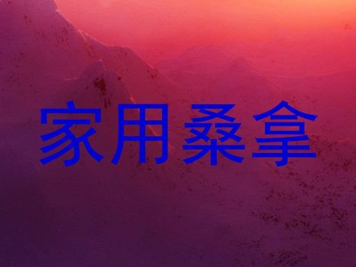 家用桑拿