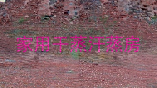 家用干蒸汗蒸房