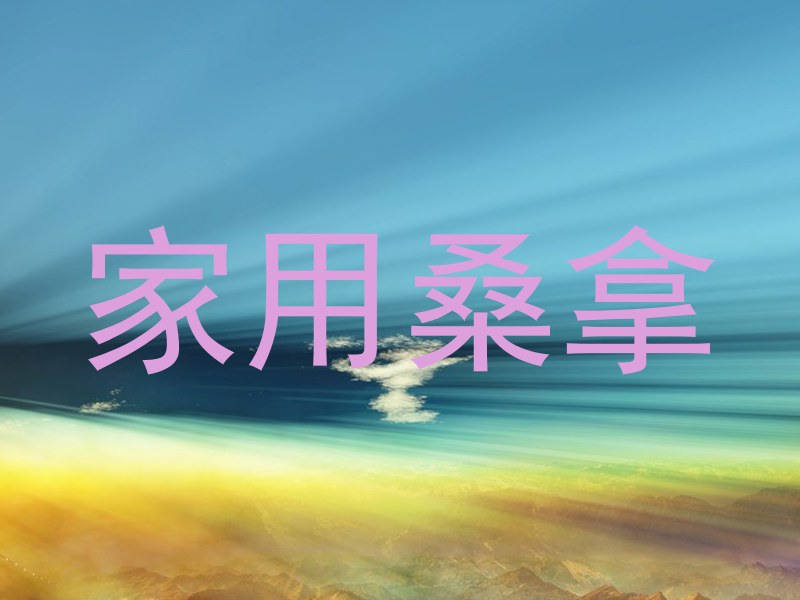 家用桑拿