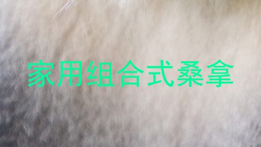 家用组合式桑拿