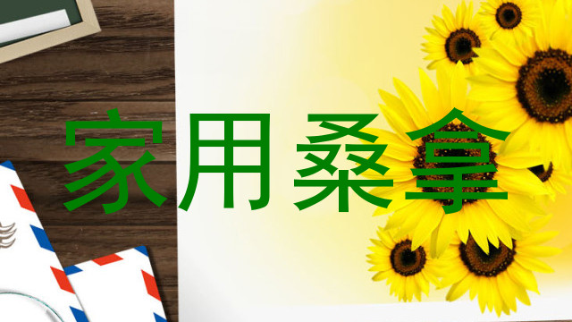 家用桑拿