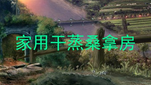 家用干蒸桑拿房