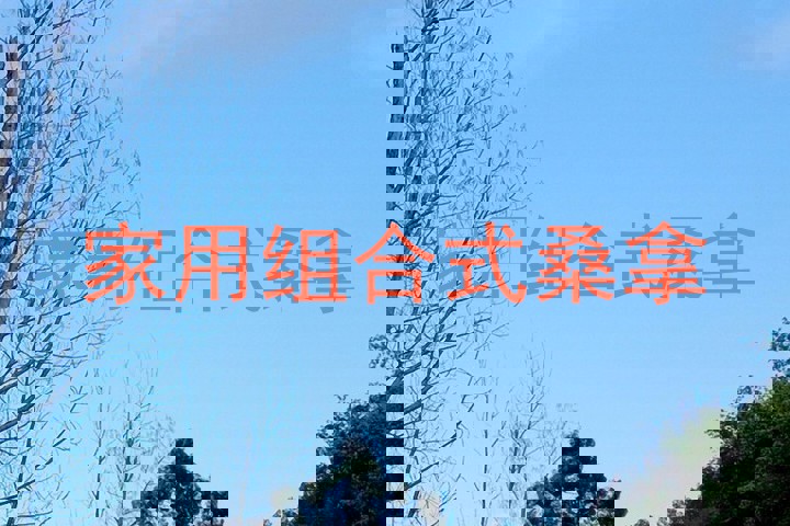 家用组合式桑拿