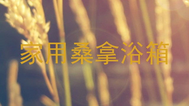 家用桑拿浴箱