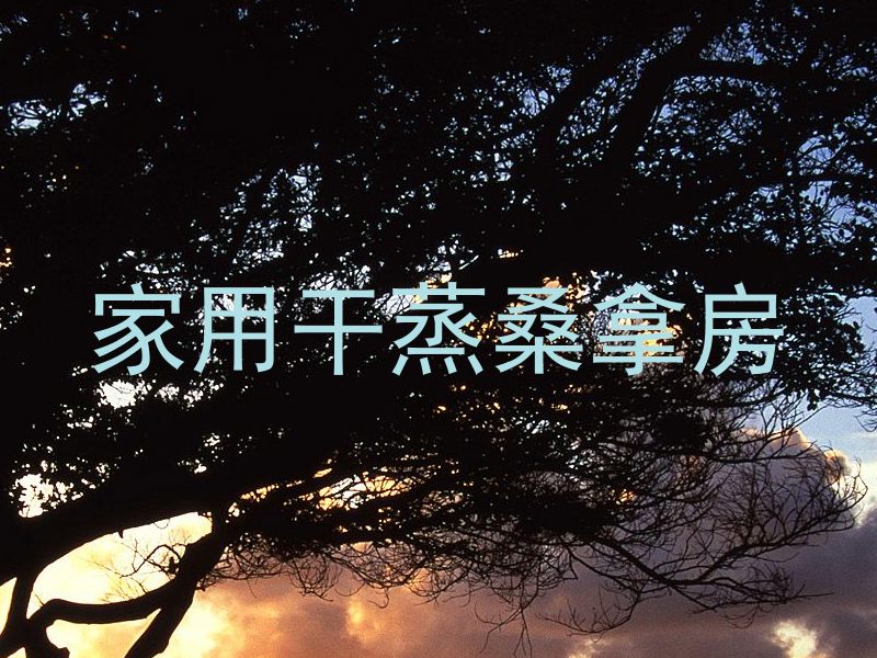 家用干蒸桑拿房