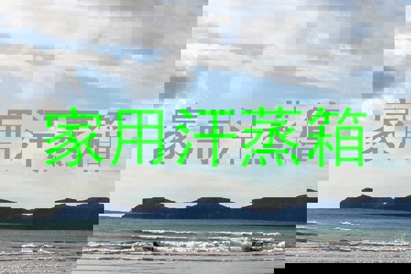 家用汗蒸箱
