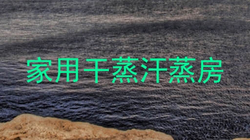 家用干蒸汗蒸房