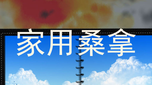 家用桑拿