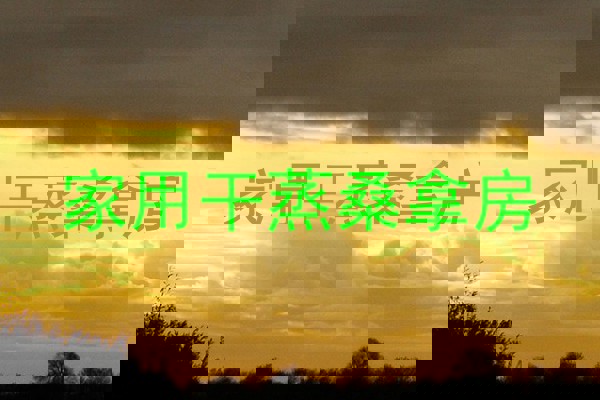 家用干蒸桑拿房