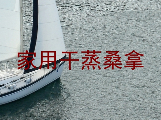 家用干蒸桑拿