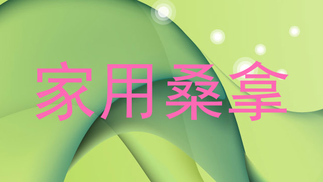 家用桑拿