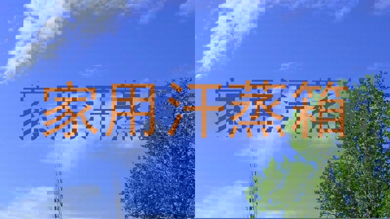 家用汗蒸箱