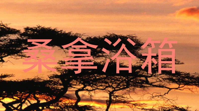 桑拿浴箱