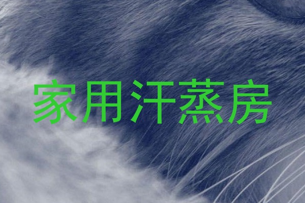 家用汗蒸房