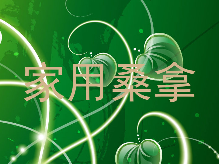 家用桑拿