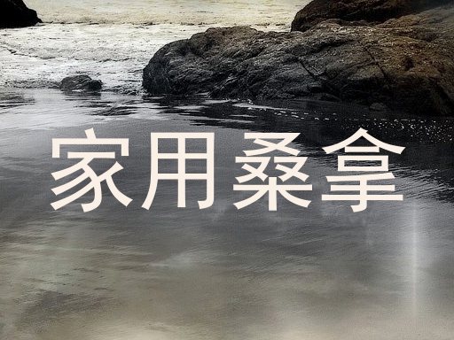家用桑拿