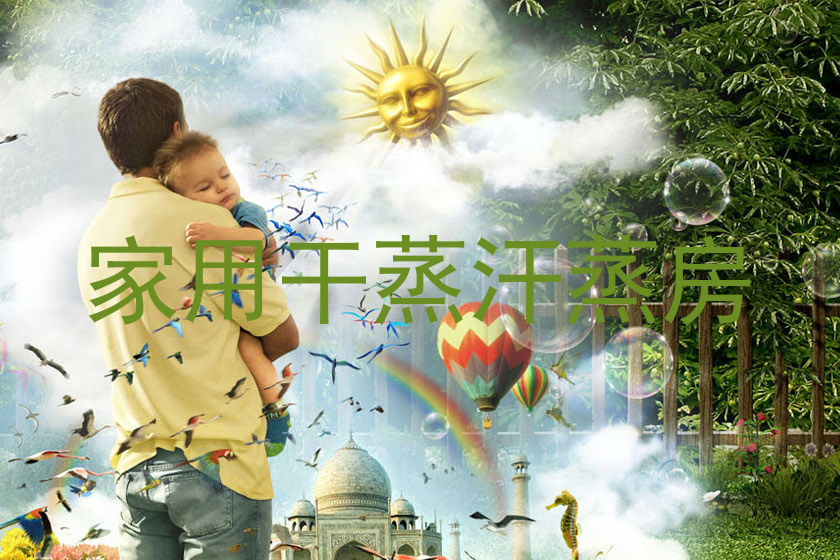 家用干蒸汗蒸房