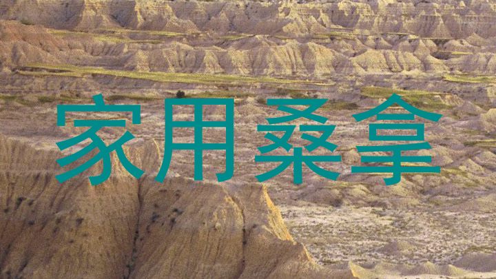 家用桑拿