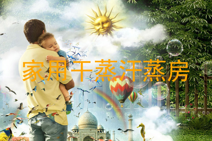 家用干蒸汗蒸房