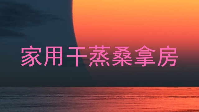 家用干蒸桑拿房