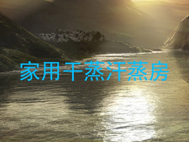 家用干蒸汗蒸房
