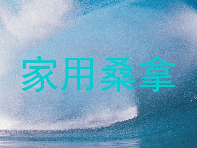 家用桑拿