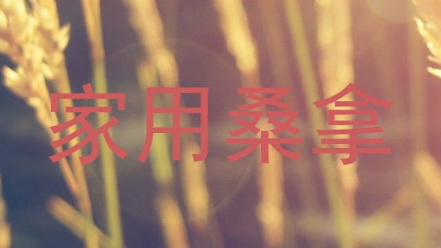 家用桑拿