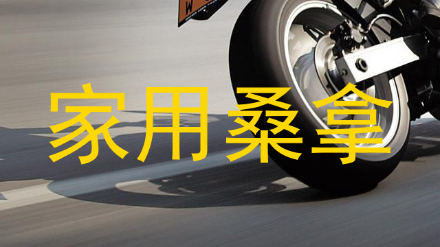 家用桑拿