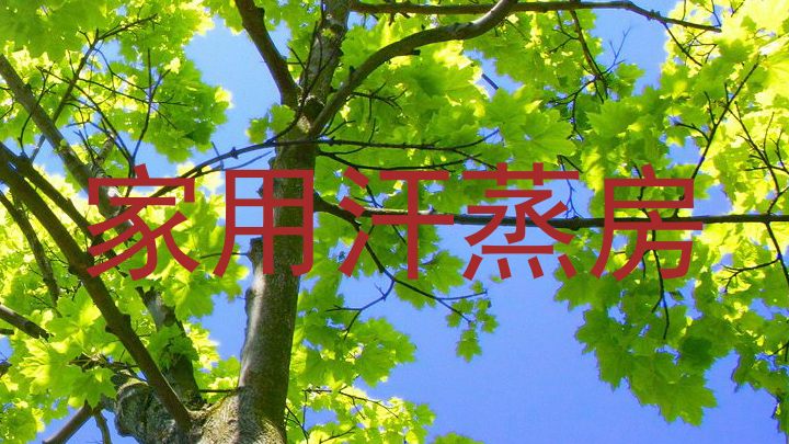 家用汗蒸房
