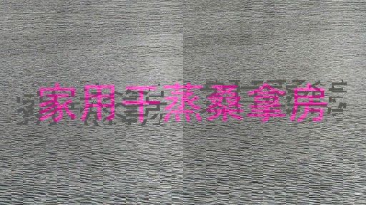 家用干蒸桑拿房