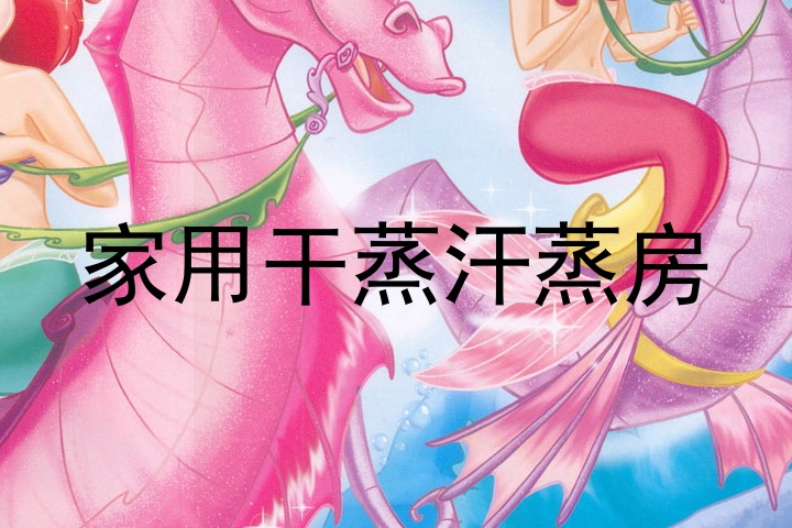 家用干蒸汗蒸房