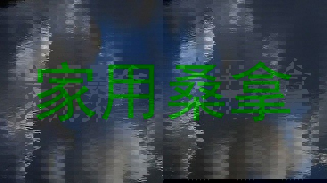 家用桑拿