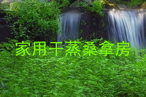 家用干蒸桑拿房
