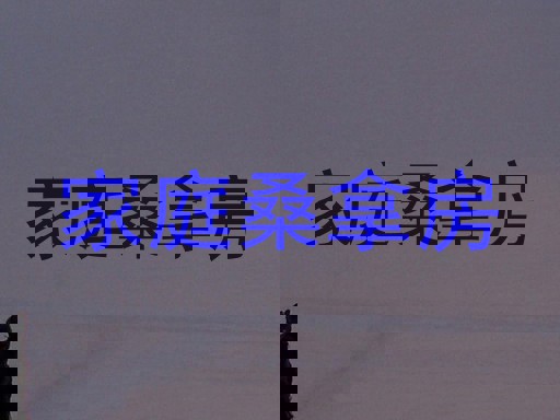 家庭桑拿房